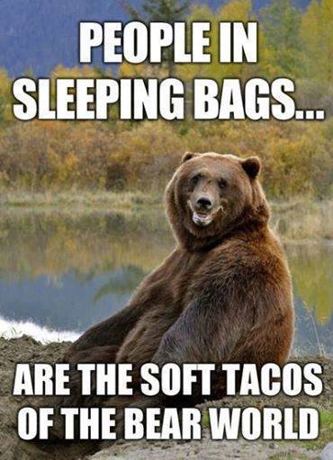Bear Tacos 
