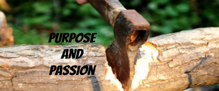 purpose and passion