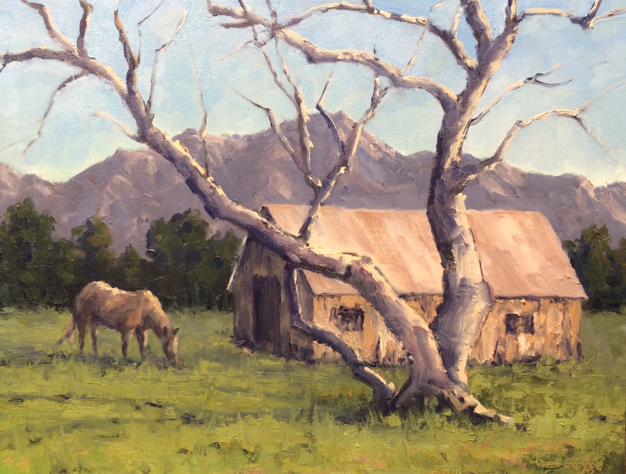 Oil Painting: "At Home On The Range" 9x12" Oil Painting On Canvas