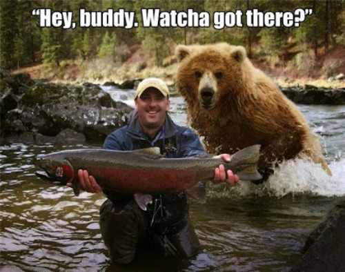 Fishing Grizzly 